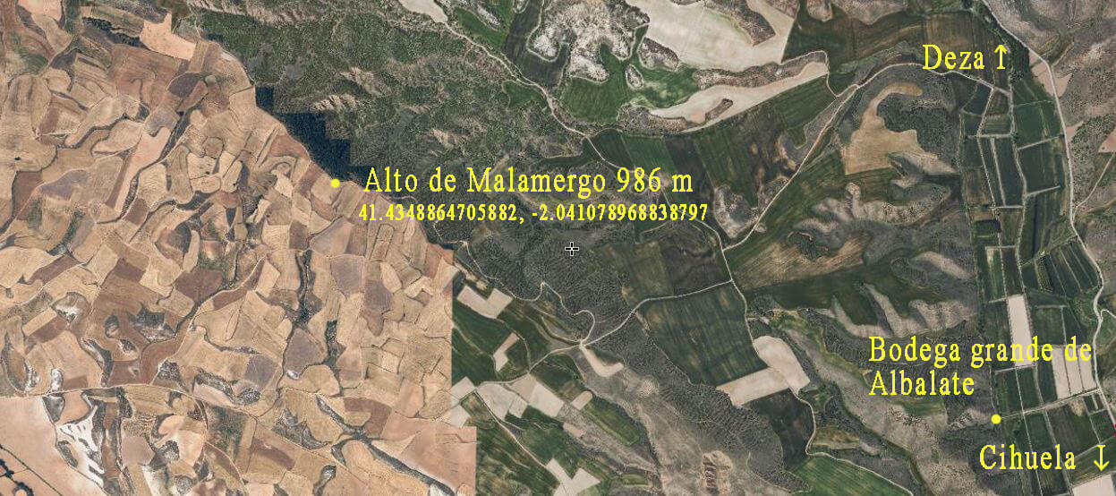 Malamergo