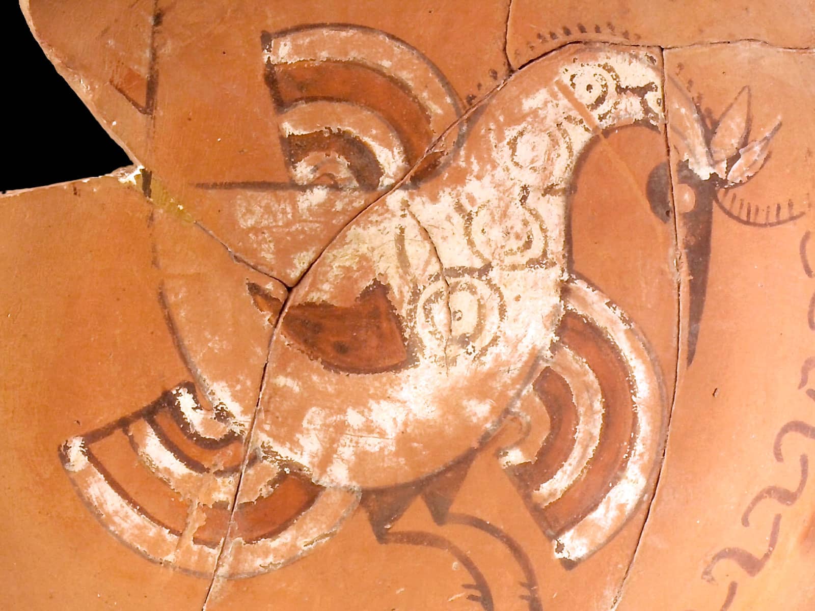 Representación de ave en una cerámica numantina. Despoblados de Soria
