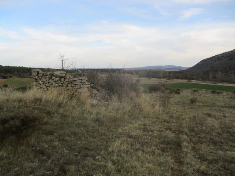 Cima del cerro donde se ubicaría Las Arrañas. Al fondo, la sierra de Santa Ana de Soria.