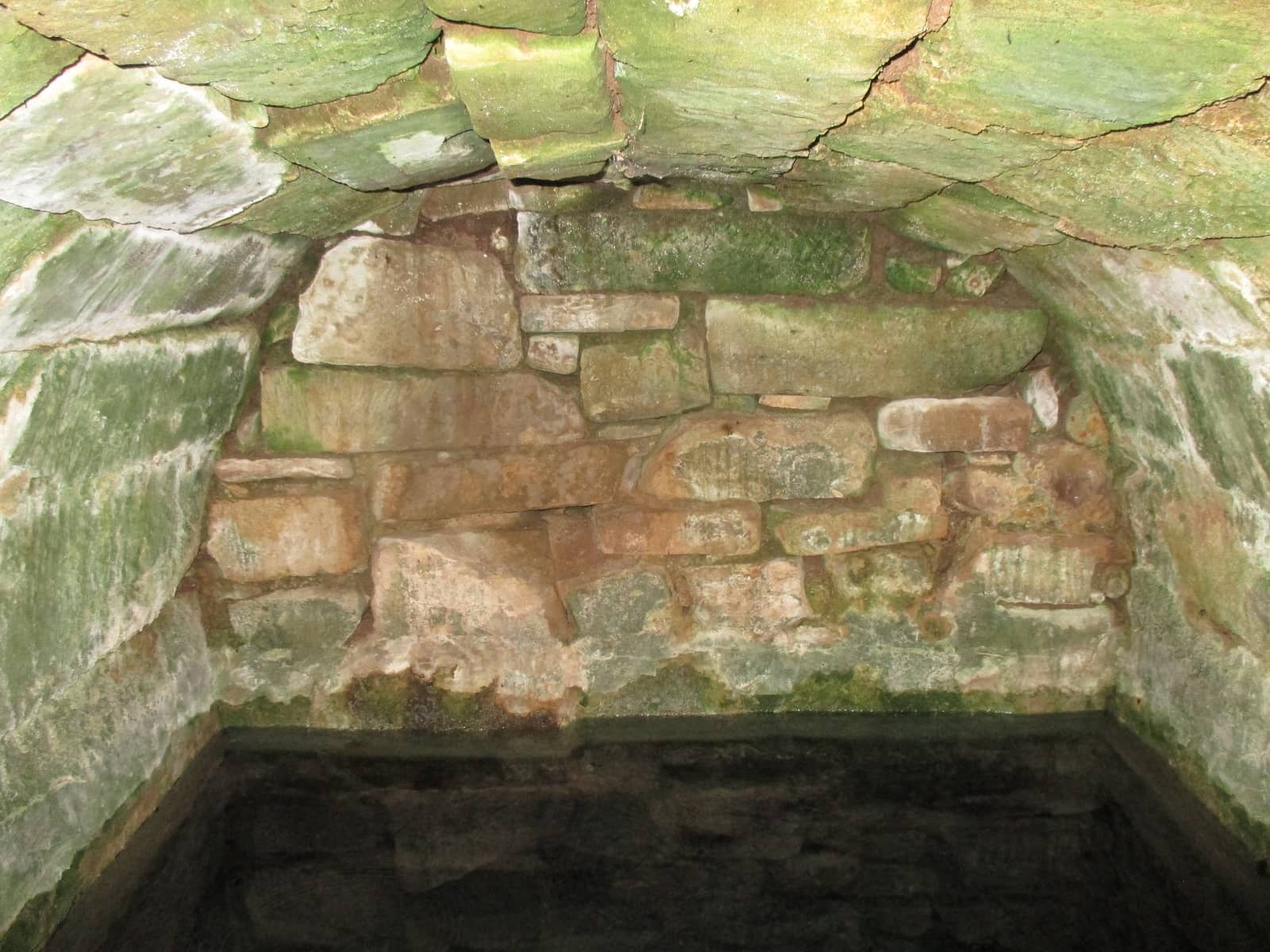 Bóveda interior de la fuente de Estepa de Tera. Foto Ángel Lorenzo