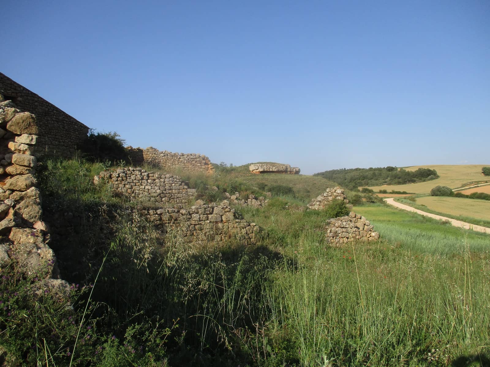 Restos de muros de Almonacid. Al fondo, la visera rocosa. Foto Ángel Lorenzo